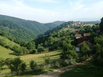 Šta je selo bez krava!? Šta je selo bez krava!?