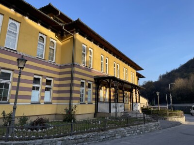 Šta je zajedničko siru, bilju, Ivi i Ćiri, a nisu veziri?