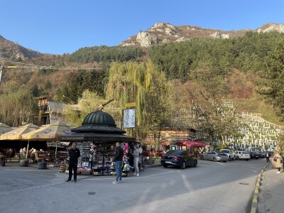 Šta je zajedničko siru, bilju, Ivi i Ćiri, a nisu veziri?