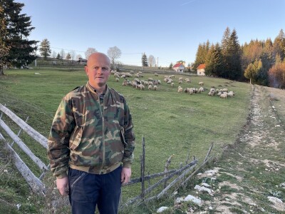 Šta je zajedničko siru, bilju, Ivi i Ćiri, a nisu veziri?