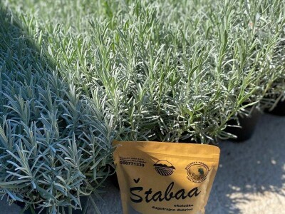 "Štabaa" - peletirano ekološko gnojivo od ovčije vune