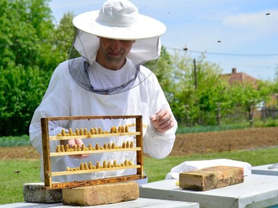 Stacionarni pčelinjak