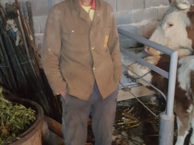 Stado Dragoslava Zivkovica iz Zelenaca na Manjaci