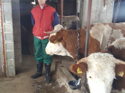 Stado Dragoslava Zivkovica iz Zelenaca na Manjaci