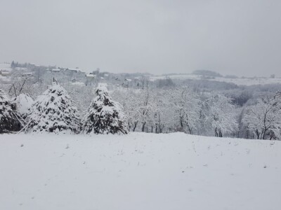 Stado Dragoslava Zivkovica iz Zelenaca na Manjaci