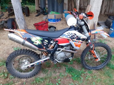 Stado limuzin goveda u Lici