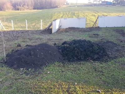 Stajnjak oko voća, mumije i zaražena stabla
