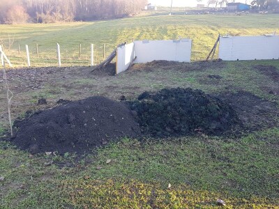 Stajnjak oko voća, mumije i zaražena stabla Stajnjak oko voća, mumije i zaražena stabla