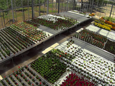 Agro-nika d.o.o., o kompaniji