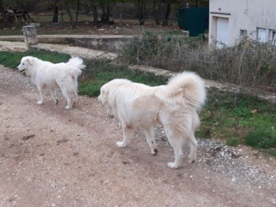 Stancija Kumparička