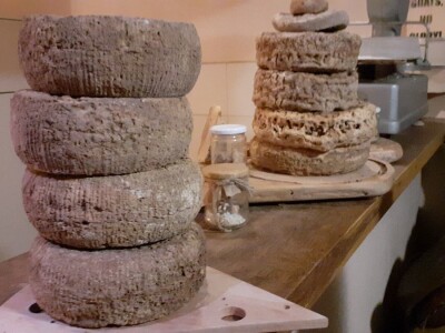 Stancija Kumparička