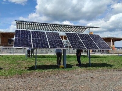 Ekološki dani polja u Gradišću-Biofeldtage 2021.