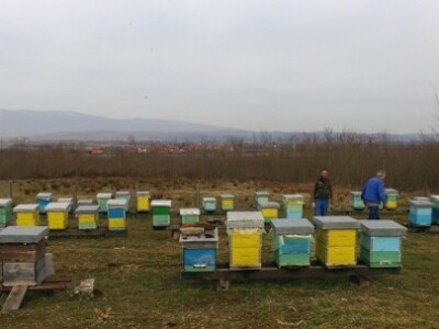 Obilazak pčelinjaka