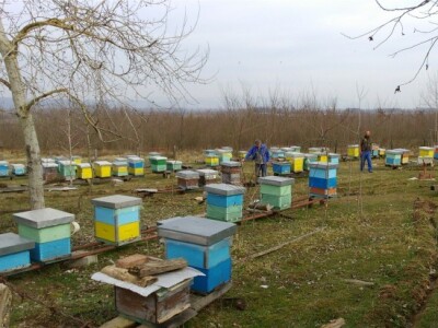 Pčelinjak se nalazi na ulazu u selo Gorice