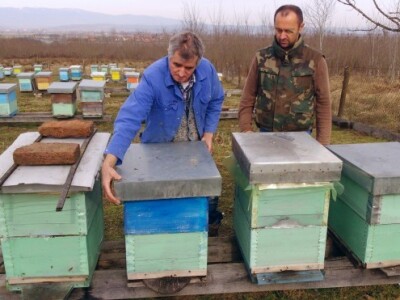 Svaku košnicu treba pregledati