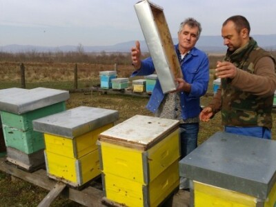 Vladi pomaže i nećak iz Hercegovine Branko Šagolj