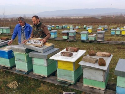Zimsko prihranjivanje pčela