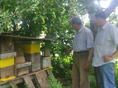 Pregled Petrovog pčelinjaka