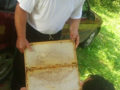 Ove godine malo je ovakvih okvira