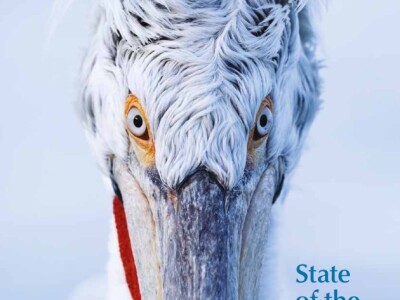 Stanje ptica u svijetu Stanje ptica u svijetu