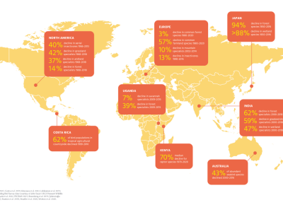Stanje ptica u svijetu