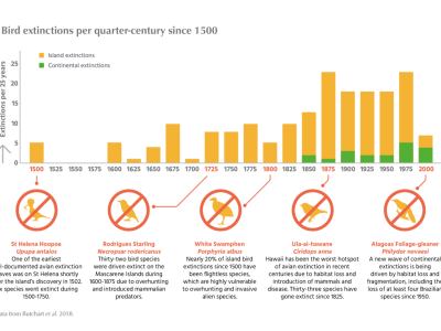 Stanje ptica u svijetu