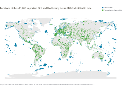 Stanje ptica u svijetu Stanje ptica u svijetu