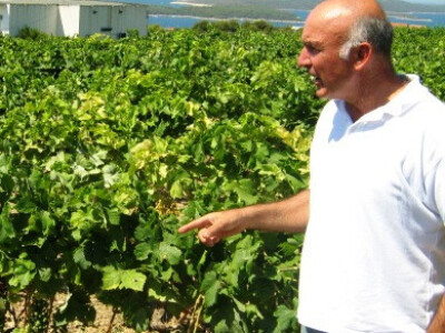 Stanko Štambuk Stanko Štambuk