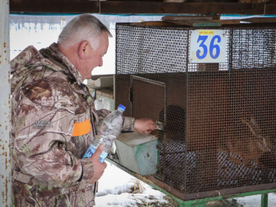 farma divljih zečeva2 farma divljih zečeva2