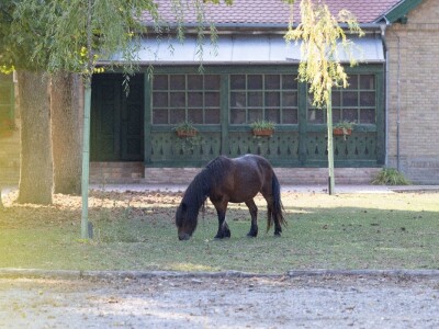 Stanovnici Zlatne grede i kopackog rita