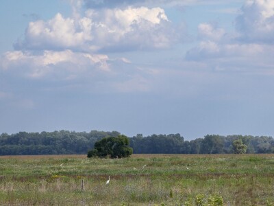 Stanovnici Zlatne grede i kopackog rita