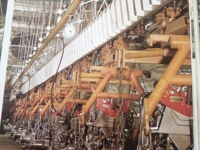 Stare fotografije IMT-a