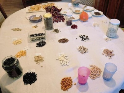 STARE SORTE STARE SORTE