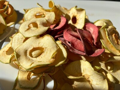 Stare sorte jabuka na Pokušalištu u Donjoj Zelini