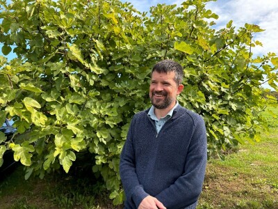 Stare sorte jabuka na Pokušalištu u Donjoj Zelini