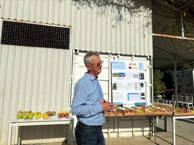 Stare sorte jabuka na Pokušalištu u Donjoj Zelini