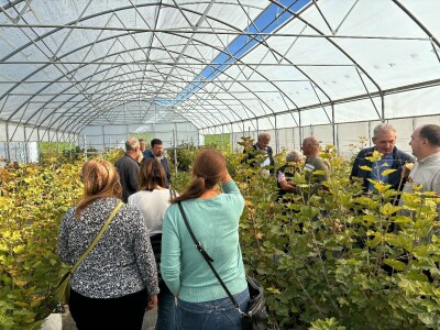 Stare sorte jabuka na Pokušalištu u Donjoj Zelini