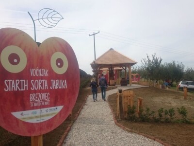 STARE SORTE JABUKA OPG DOBRANIĆ STARE SORTE JABUKA OPG DOBRANIĆ