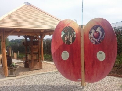 STARE SORTE JABUKA OPG DOBRANIĆ STARE SORTE JABUKA OPG DOBRANIĆ