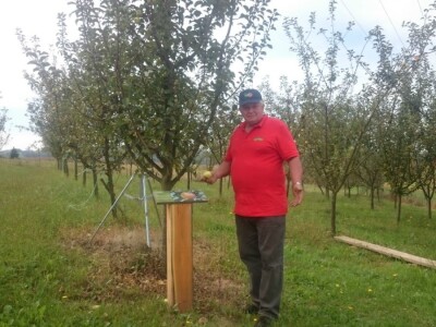 STARE SORTE JABUKA OPG DOBRANIĆ STARE SORTE JABUKA OPG DOBRANIĆ