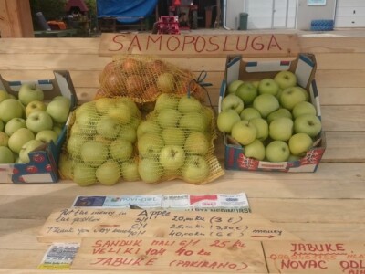 STARE SORTE JABUKA OPG DOBRANIĆ STARE SORTE JABUKA OPG DOBRANIĆ