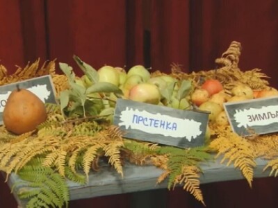 Stare sorte voća otrgnute od zaborava