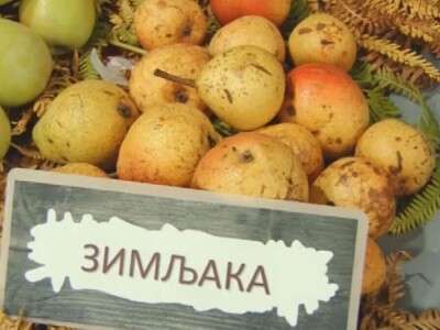 Stare sorte voća otrgnute od zaborava