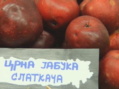 Stare sorte voća otrgnute od zaborava