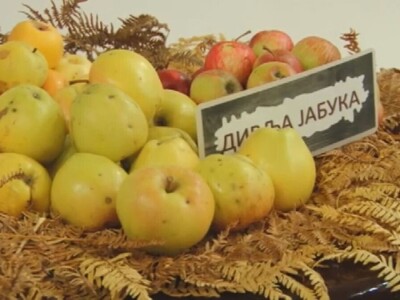 Stare sorte voća otrgnute od zaborava