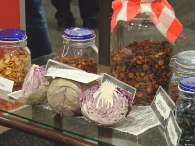 Stare sorte voća otrgnute od zaborava