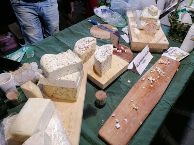 Stari sir iz Starih Ledinaca