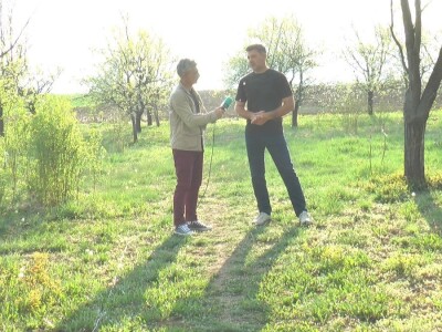 starinske srte voća