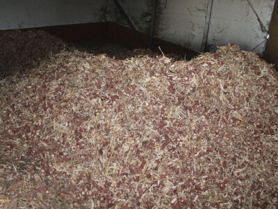 Štefan Števanec inovator obnovljivih izvora energije