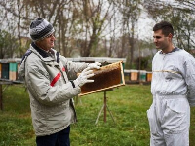 Stefan  Stevanović se bavi proizvodnjom meda od detinjstva, foto: S. Stevanović